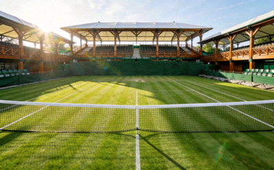 温布尔登网球锦标赛的绿色草地球场，优雅而经典